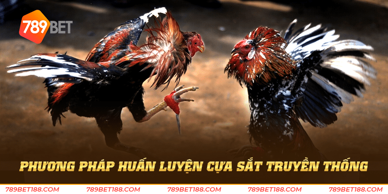 Đá gà cựa sắt thomo - Trải nghiệm đá gà đỉnh cao 2 Phương pháp huấn luyện cựa sắt truyền thống