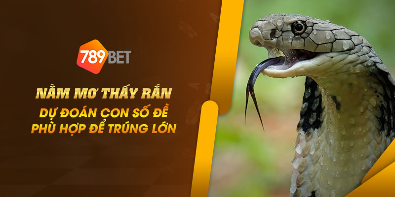 Nằm mơ thấy rắn: Dự đoán con số đề phù hợp để trúng lớn 5 5 Nam mo thay ran Du doan con so de phu hop de trung lon