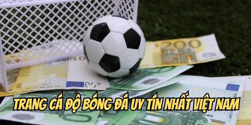 Cập nhật các trang cá độ bóng đá uy tín nhất Việt Nam 2 Tiêu chí lựa chọn trang cá độ bóng đá uy tín và an toàn