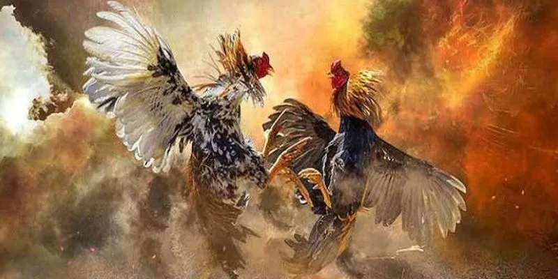 Đá gà cựa dao tại 789Bet: Nơi thăng hoa cho đam mê cá cược 4 Tổng hợp kinh nghiệm cá cược đá gà thành công