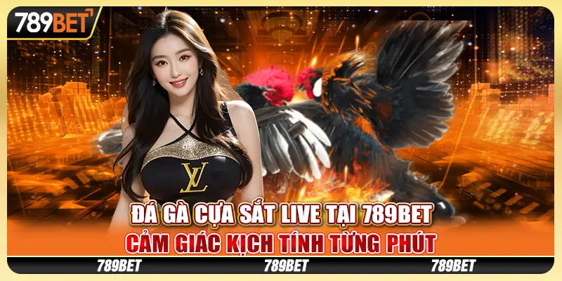 Đá gà cựa sắt live tại 789Bet – Cảm giác kịch tính từng phút 9 Đá gà cựa sắt live tại 789Bet – Cảm giác kịch tính từng phút
